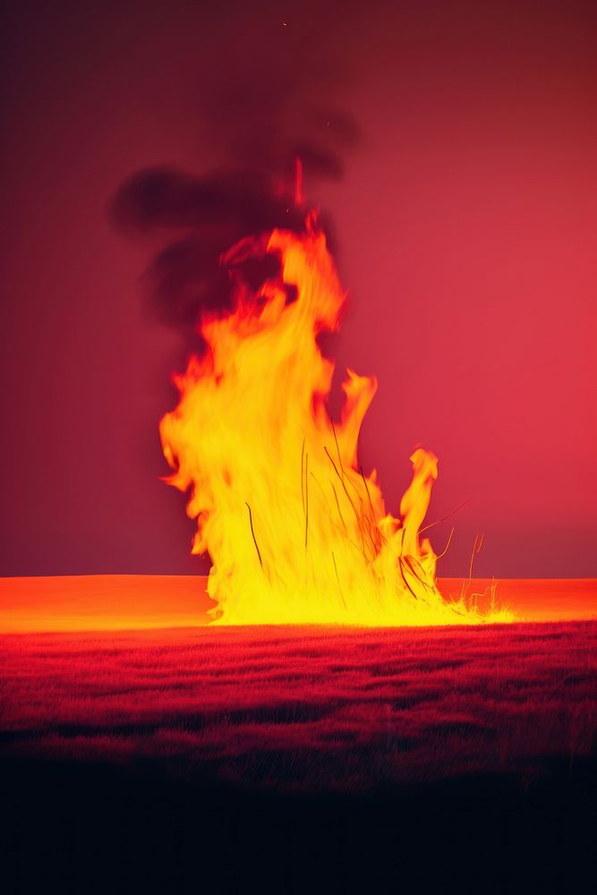 Photo of a fire bonfire flame.