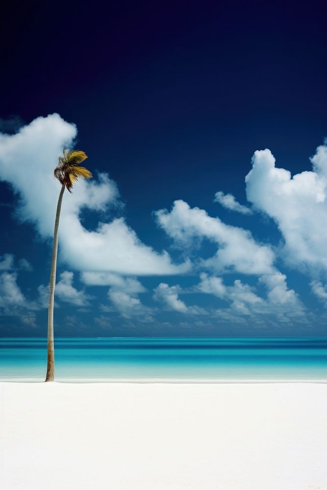 Tropical beach tropical land sky.