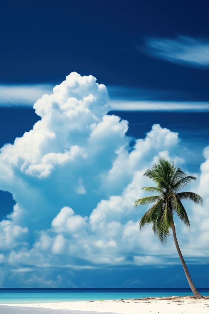 Tropical beach tropical cloud sky.