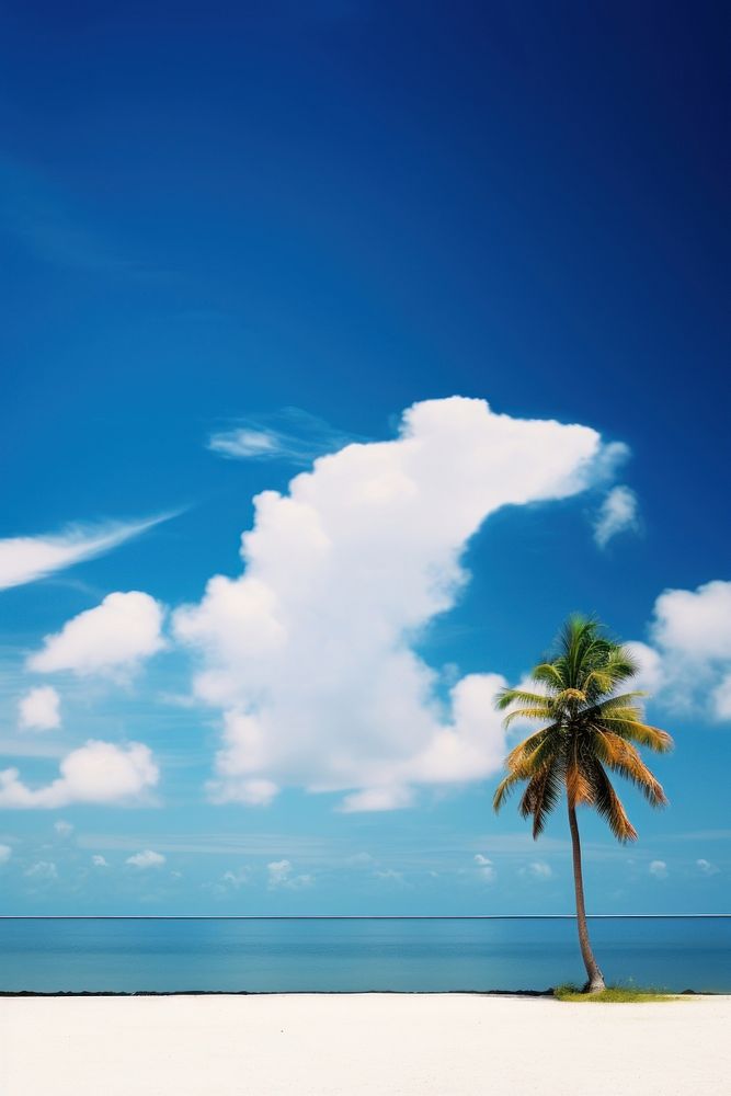 Tropical beach tropical cloud land.
