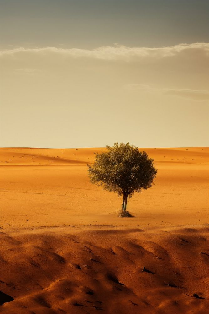 Photo of desert field outdoors horizon ground.