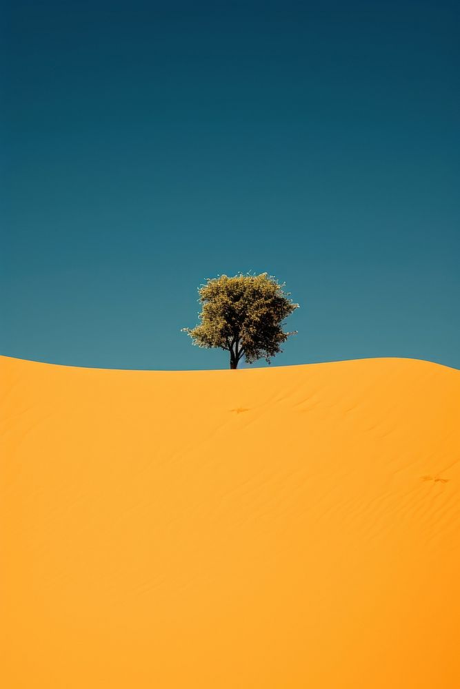 Photo of desert field outdoors nature ground.