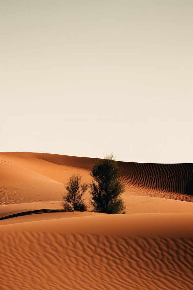 Photo of desert field furniture outdoors horizon.