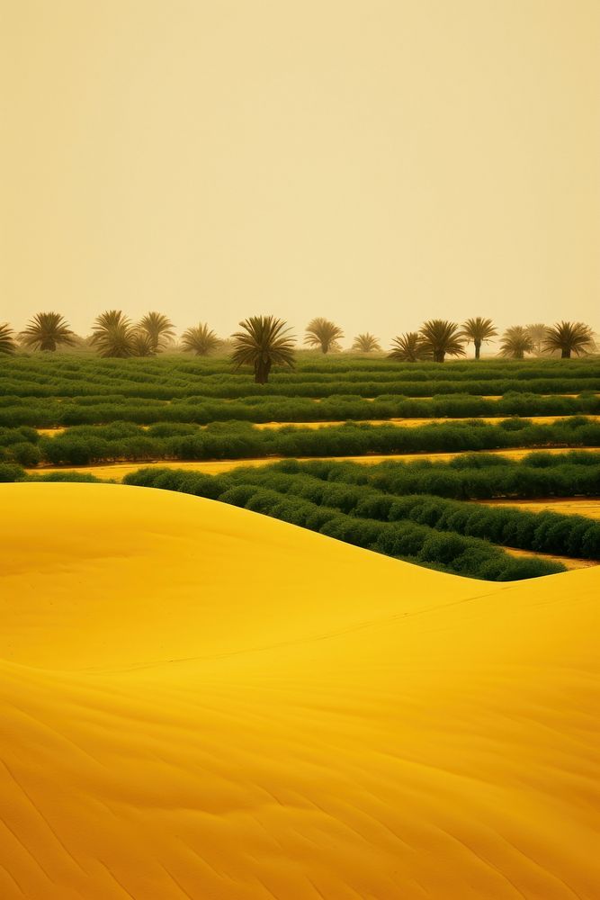 Photo of desert field landscape outdoors horizon.