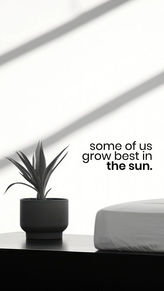 Grow in the sun Instagram story template