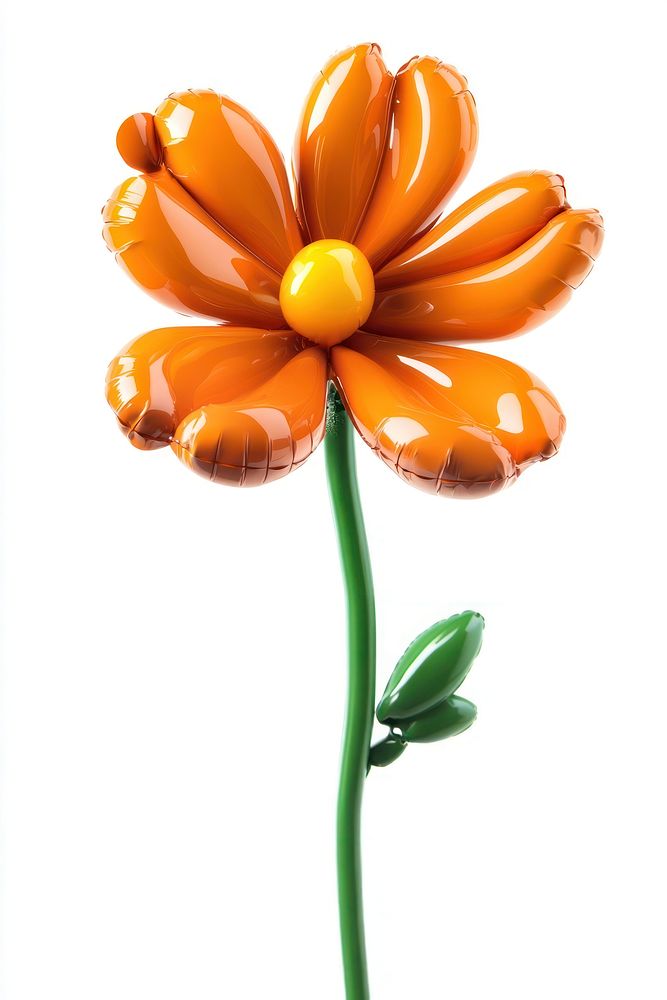 Marigold balloon flower orange.