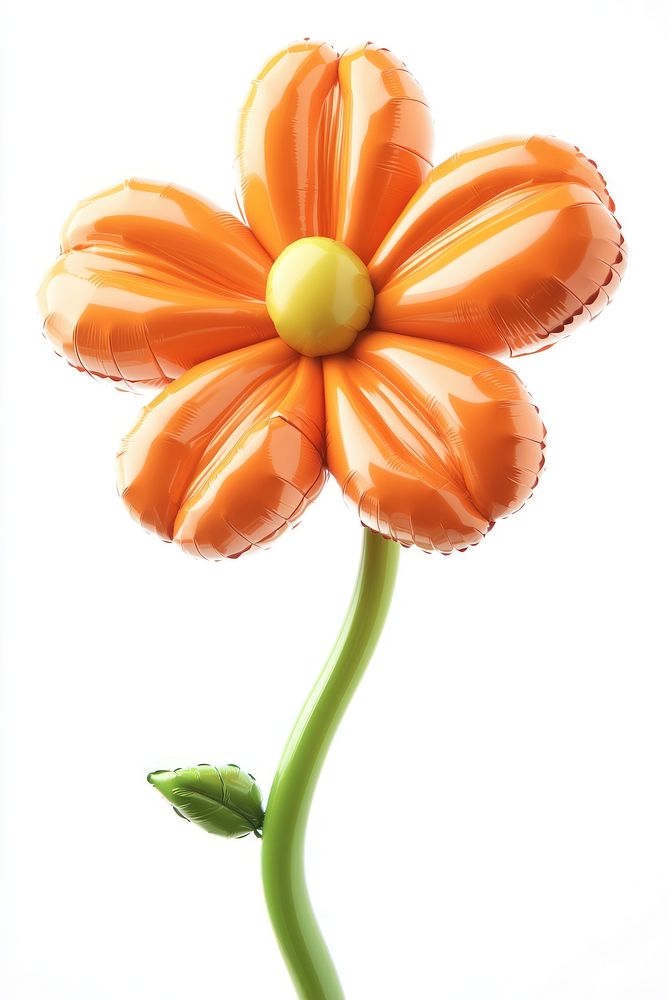 Marigold balloon flower orange.