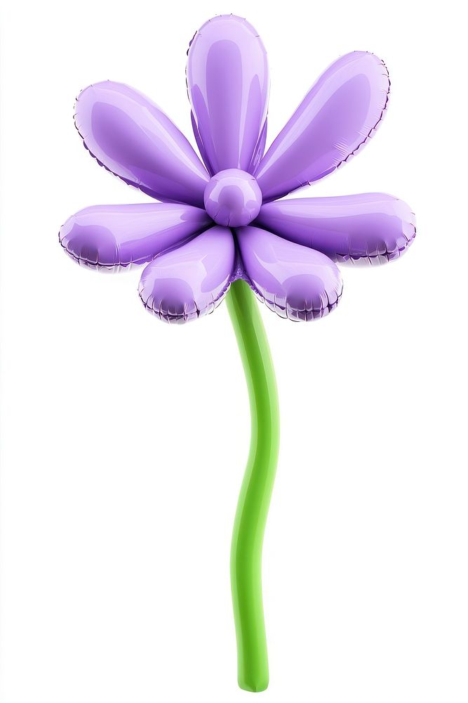 Lavender purple balloon flower.