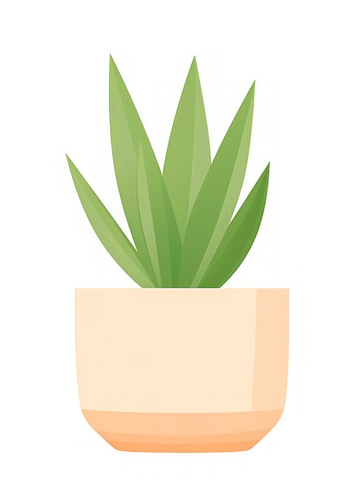 Indoor potted plant illustration minimalist simple.