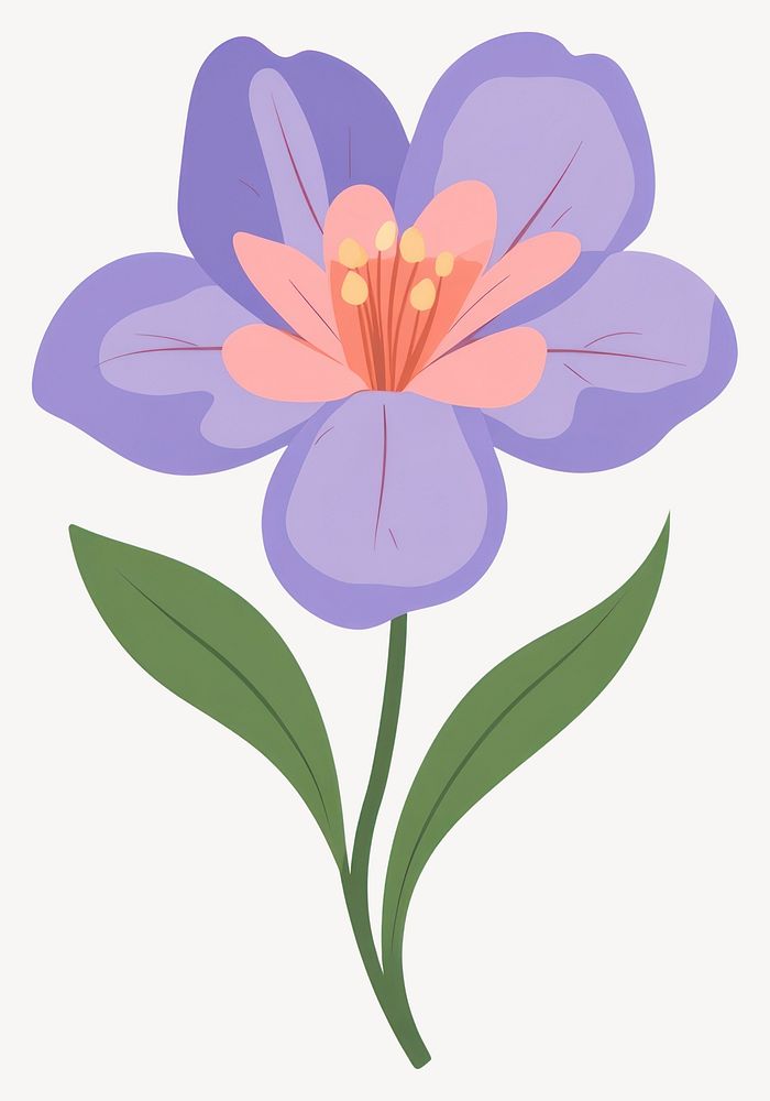 Iris flower illustration blossom vector