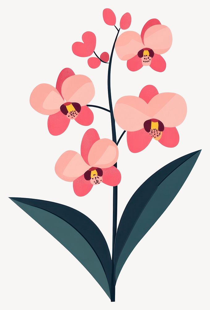 Orchid illustration flower plant vector