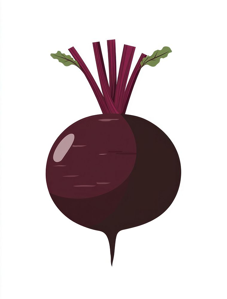 Beetroot illustration vegetable produce.