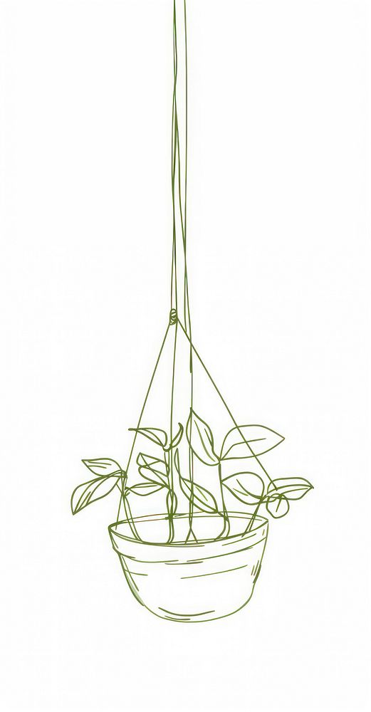 Hanging plant pot illustration sketch green.