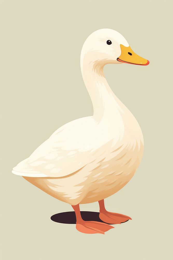 Duck illustration animal bird.