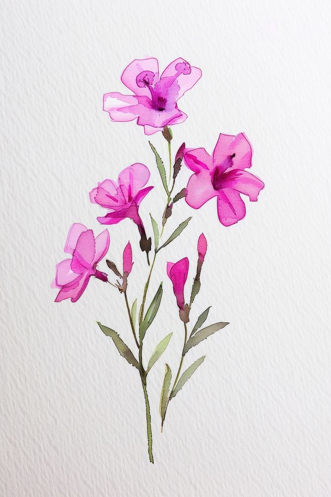 Tiny pink wildflowers watercolor illustration expression.