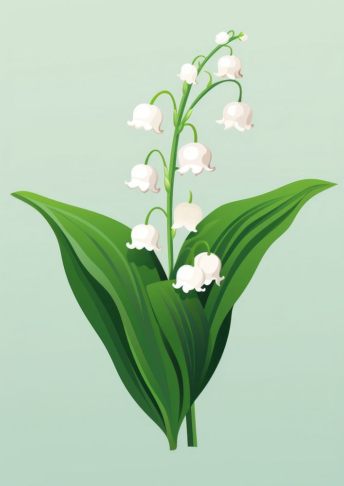 Lily of the Valley playful illustration flower valley.