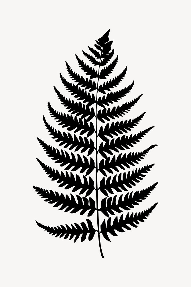 Elegant black fern silhouette art.