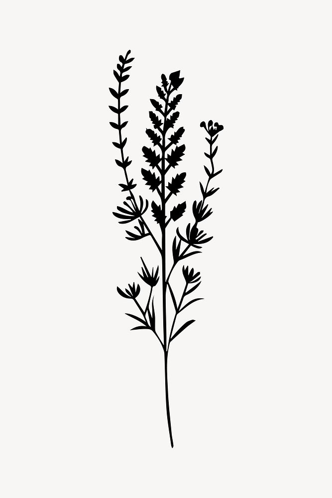 Minimalist botanical silhouette art vector