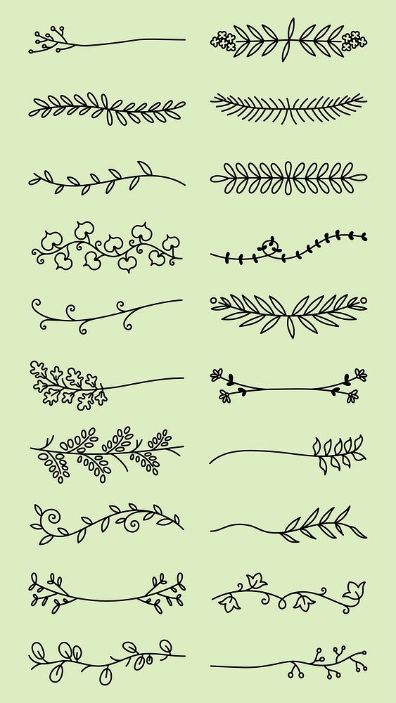 Decorative Vector set. Set of 16 floral dividers with leaves and branches. Decorative floral elements, floral dividers, and…