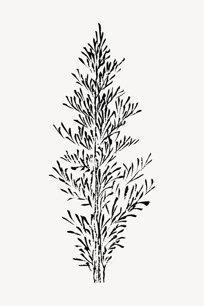 Hokusai’s tree  illustration isolated on white, vector. Remixed by rawpixel.