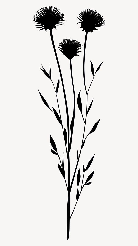 Wild flower Fleabane illustration silhouette minimalist vector