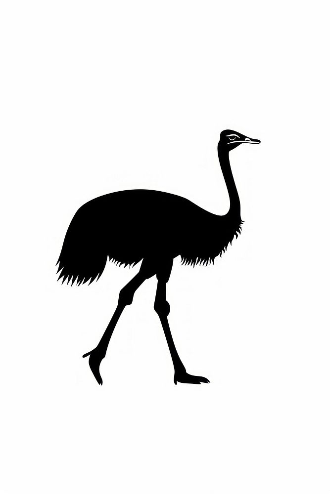 Ostrich walking silhouette illustration black.