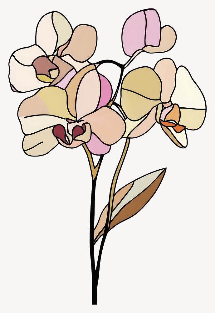 Orchid colorful flower illustration vector