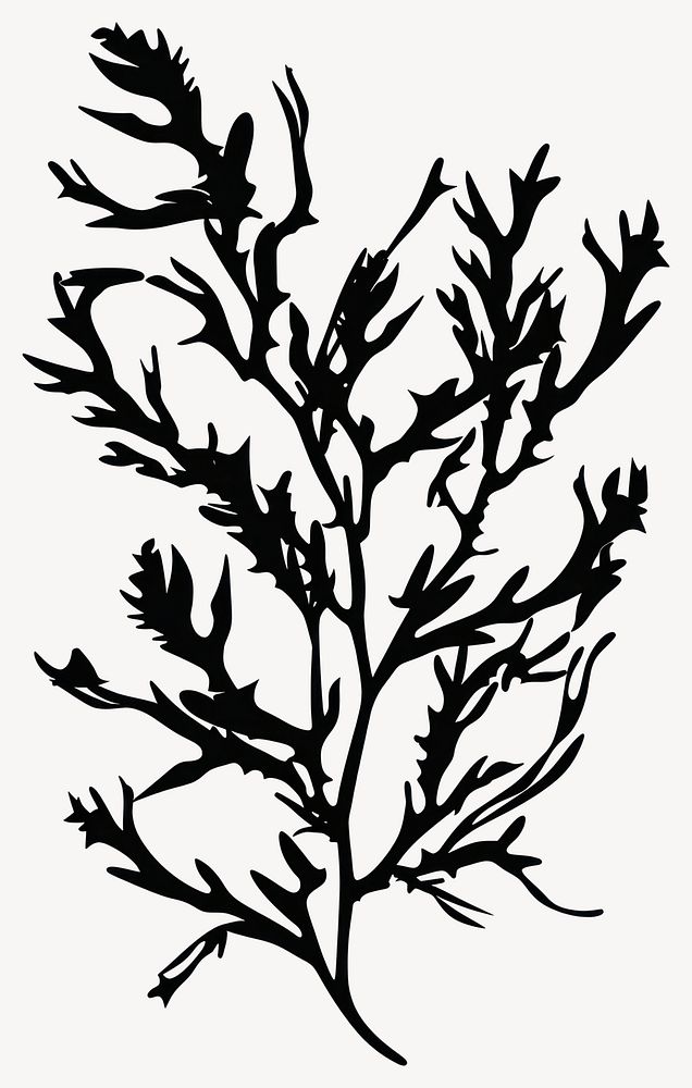 Seaweed silhouette art plant black vector