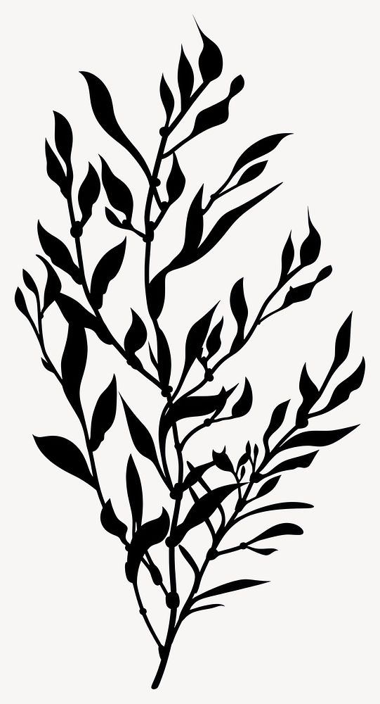 Seaweed silhouette art plant black vector