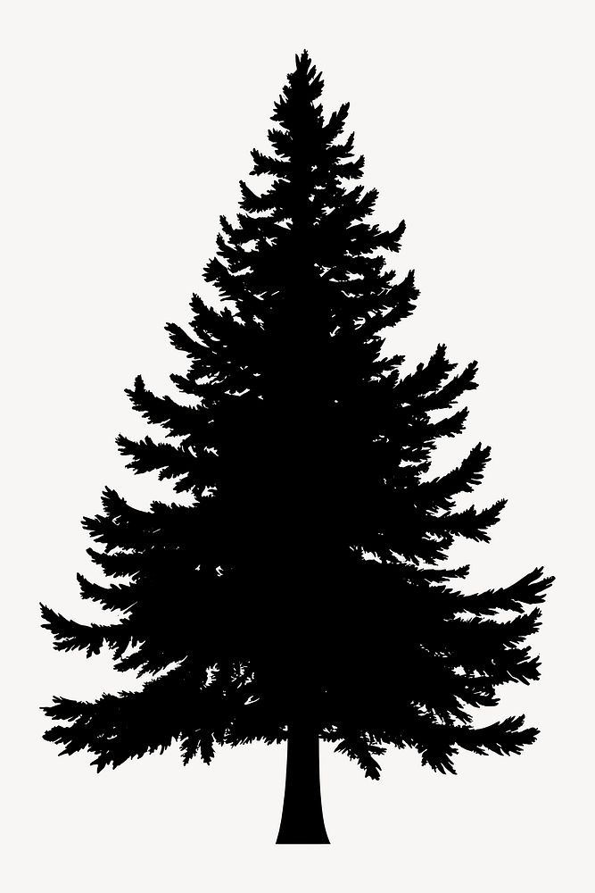 Pine tree silhouette white illustration evergreen vector