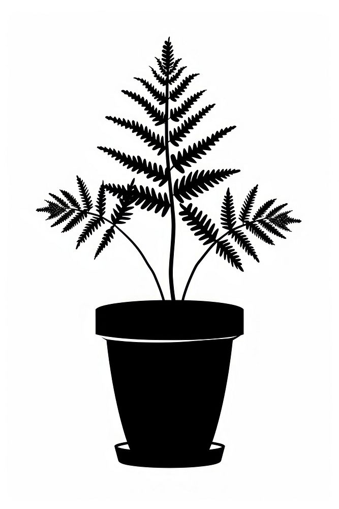 Potted house plant fern silhouette potted.