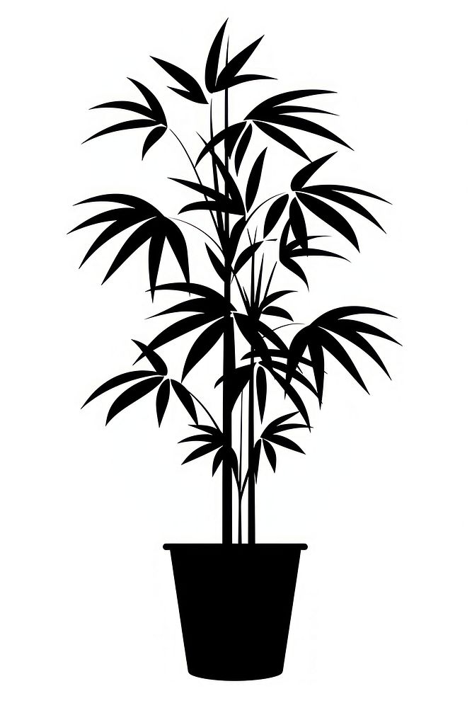 Potted plant with tropical plant silhouette potted leaves.