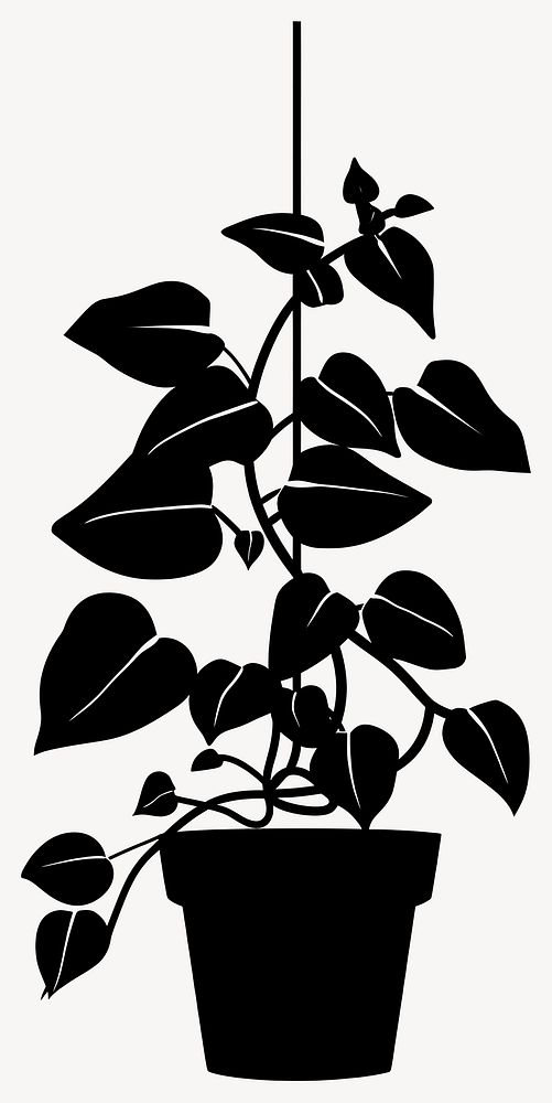 Potted plant with pothos silhouette hanging black vector