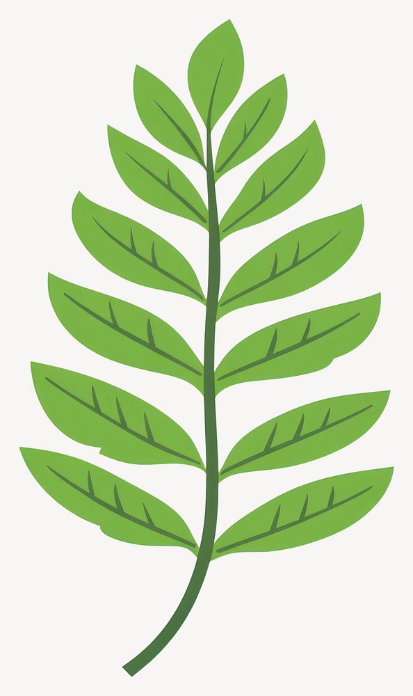 Fern leaf illustration plant art  vector