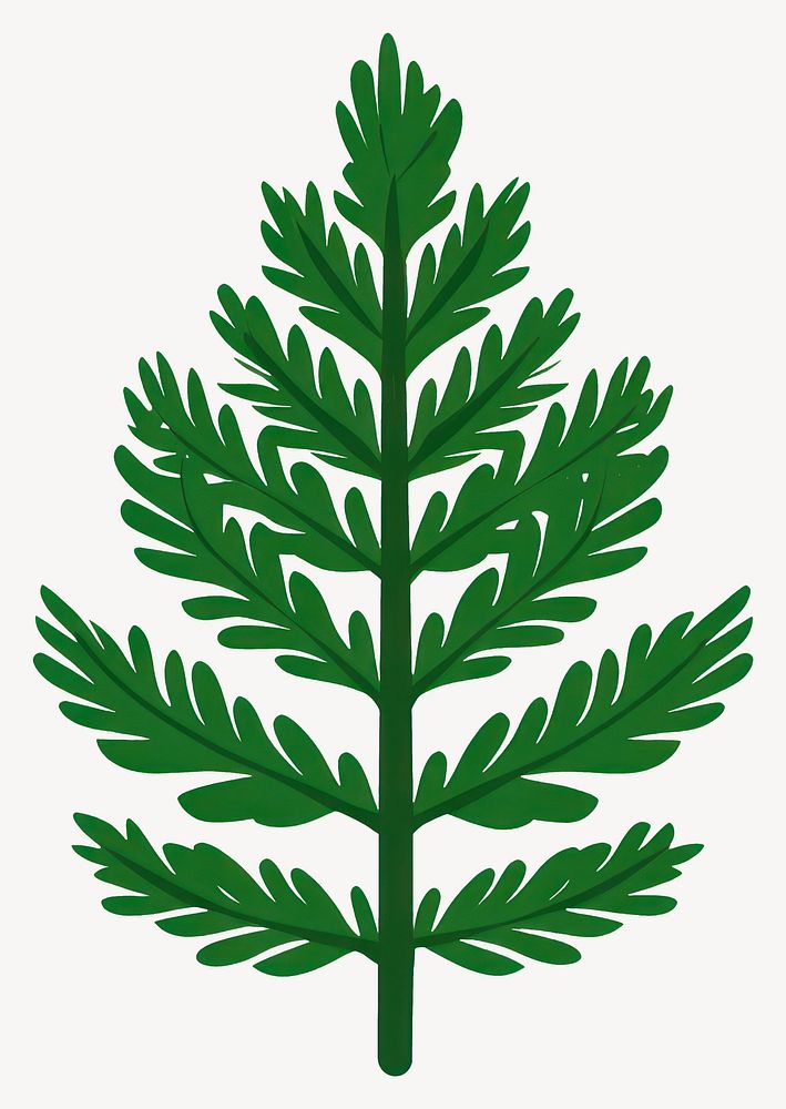 Green pine leaf illustration plant botanical vector