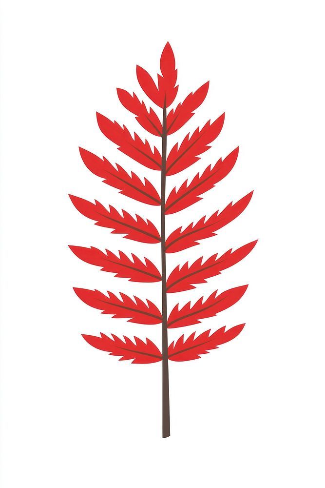 Red long fern leaf illustration plant botanical.