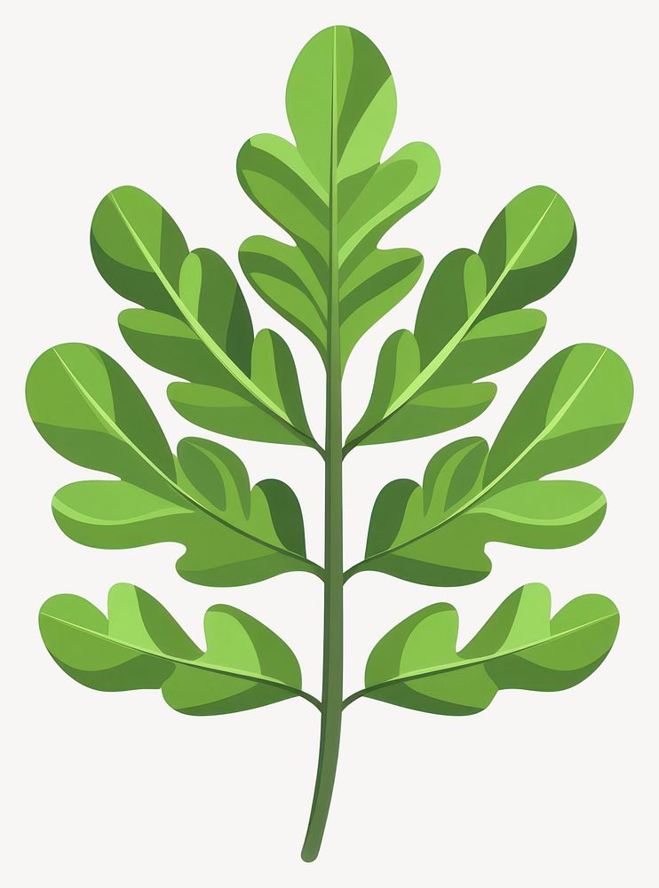 Green acacia leaf illustration plant eco-friendly vector