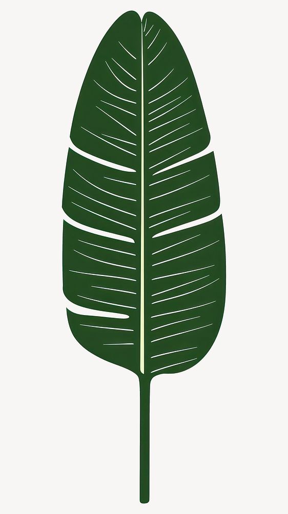 Green linear banana leaf illustration tropical minimalist vector