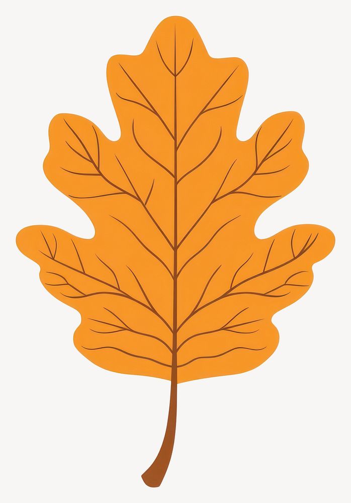 Autumn reniform leaf illustration fall oak vector