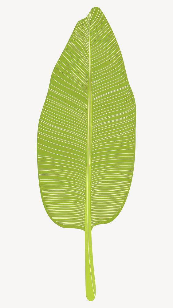 Green linear banana leaf illustration tropical plant vector