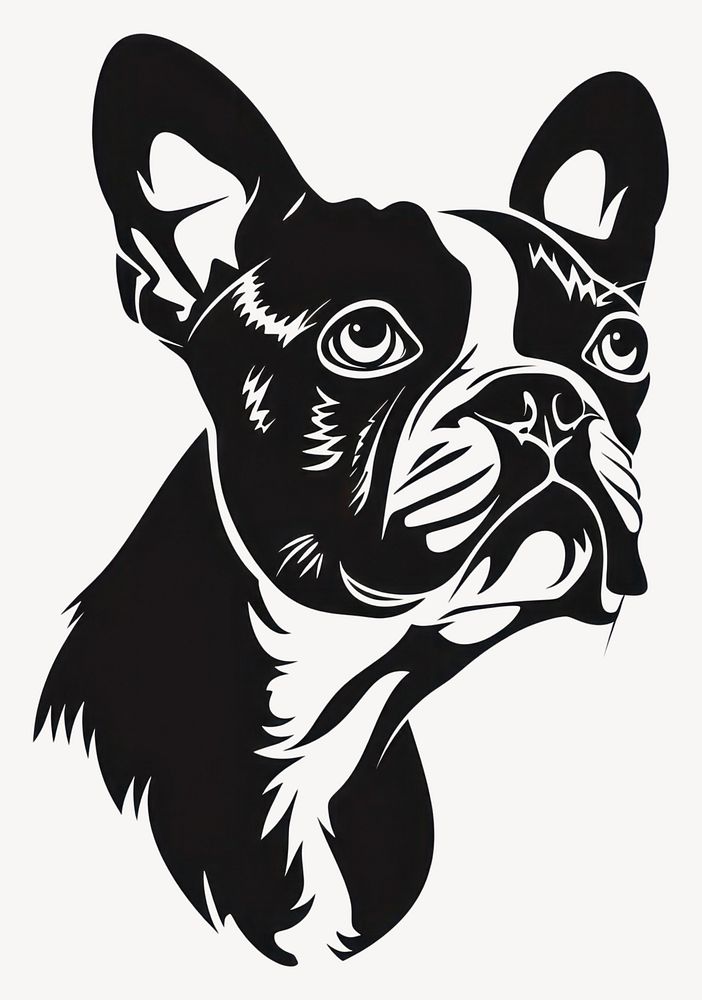 Collection portrait Boston Terrier dog bulldog animal canine vector