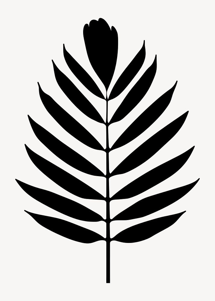 Palm Leaf silhouette leaf illustration vector