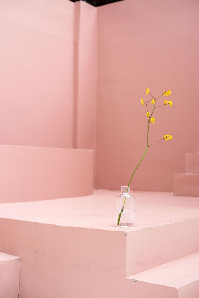 Aesthetic Background Photo Design Art Images | Free Photos, PNG ...