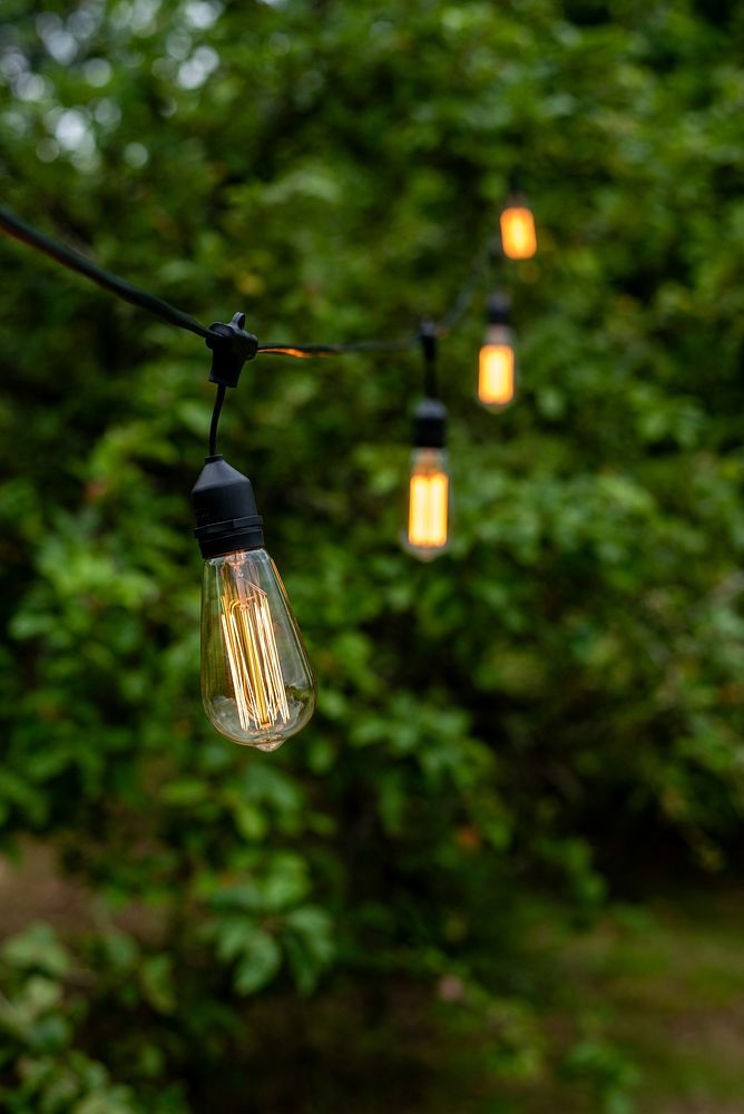 Hanging Bulb Vintage Images | Free Photos, PNG Stickers, Wallpapers ...