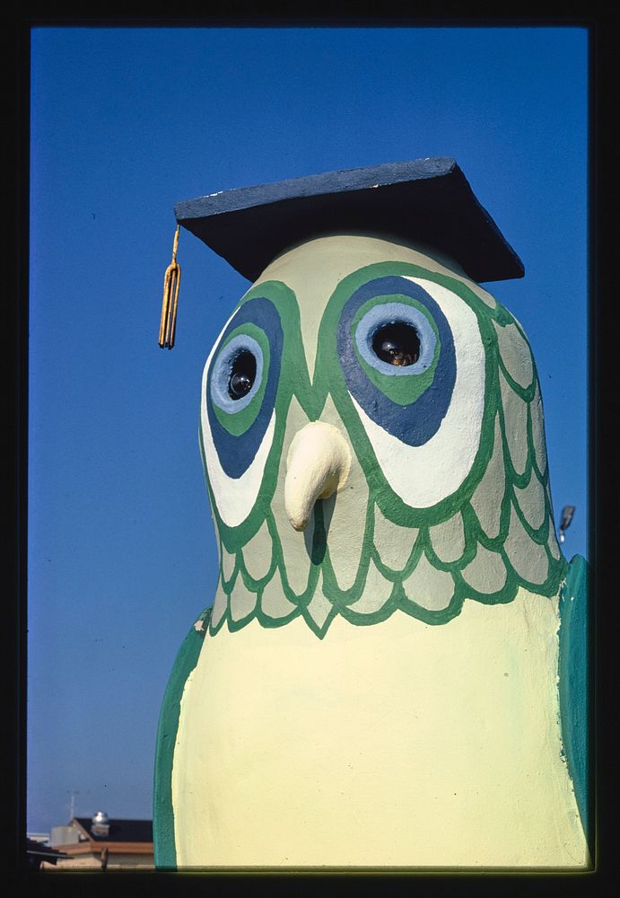 Owl detail, Sir Goony mini golf, Chattanooga, Tennessee (1986) photography in high resolution by John Margolies. Original…