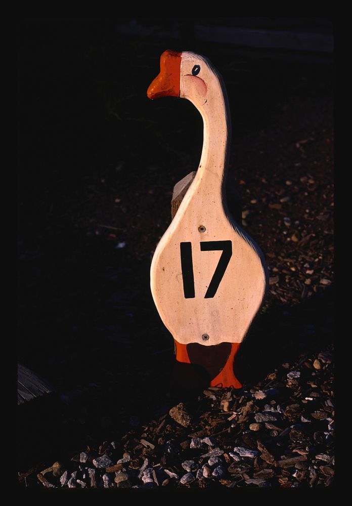 Goose hole marker, # 17, mini golf at Koa Campground, Lynden, Washington (1987) photography in high resolution by John…