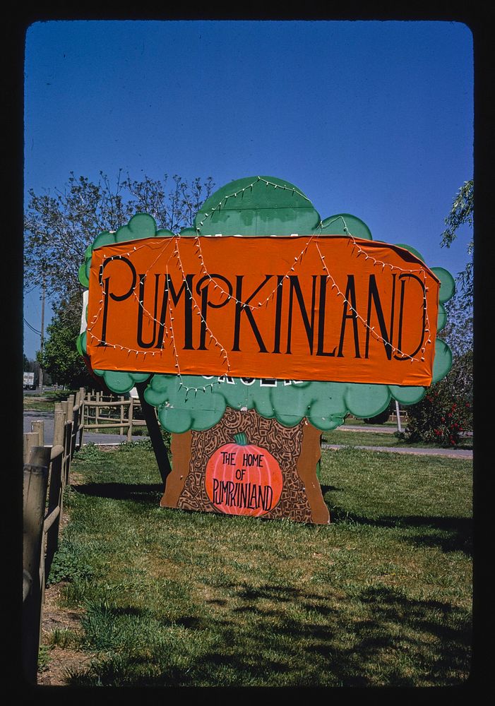 Pumpkin sign, Route 99, Dairyville, California (1980) photography in high resolution by John Margolies. Original from the…