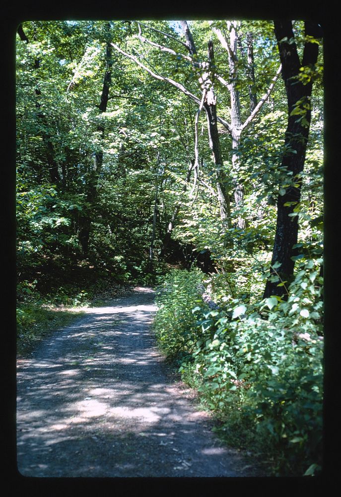 Mohonk path, New Paltz, New York (1978) photography in high resolution by John Margolies. Original from the Library of…