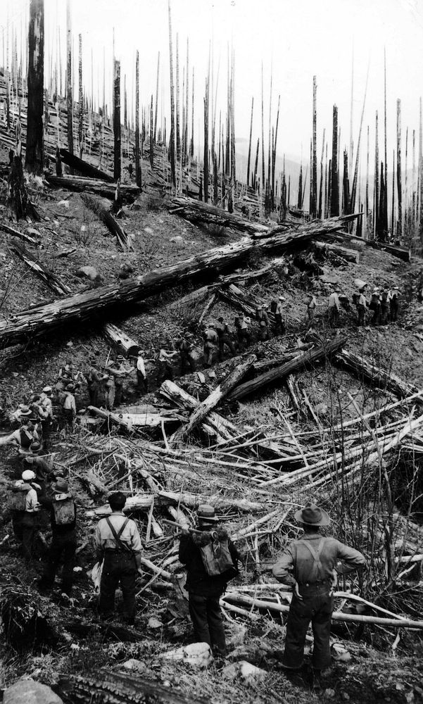 Columbia NF - Planting Crew on Lookout Mtn, WA 1936Gifford Pinchot National Forest Historic Photo. Original public domain…