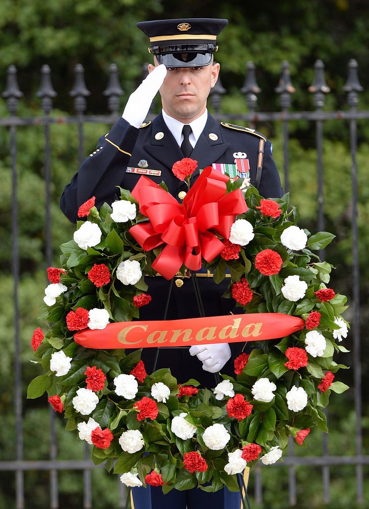 With full Ceremonial Honors presented, A member of the Honor Guard at Arlington National Cemetery, Arlington, Virginia, pays…